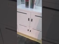 Покрытие порошка шкафа двери почтовых ящиков 4 офиса металла H1200*W900*D450mm